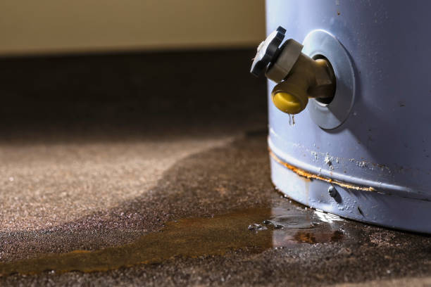 Best Professional water damage repair  in Albany, KY