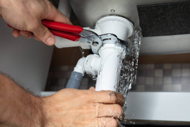 Best Flood restoration services  in Albany, KY