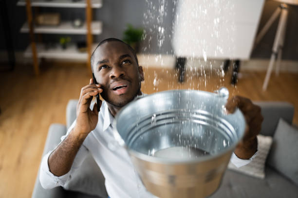 Best 24-hour water damage restoration  in Albany, KY