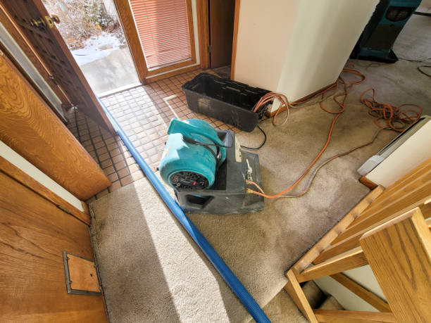 Best Water damage restoration near me  in Albany, KY