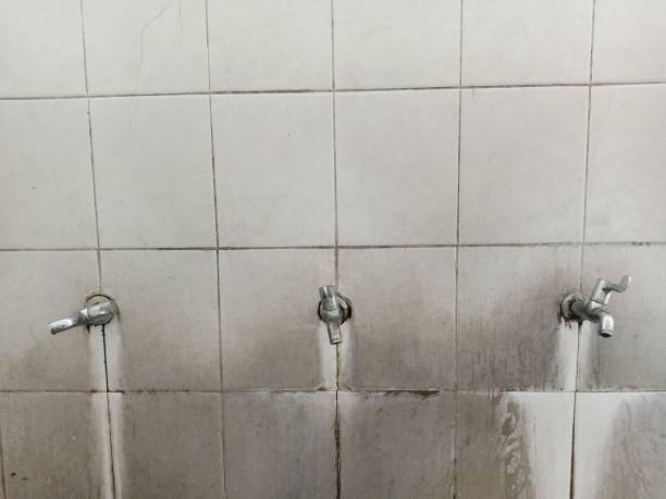 Trusted KY Water damage restoration Experts